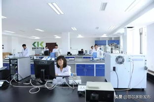 鄂爾多斯再出科技新政 技術開發與轉讓最高補貼3000萬，賦能區域創新高地建設